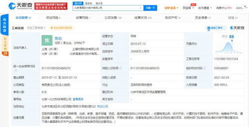 计算机软件的开发 从概念到实现的科技之旅